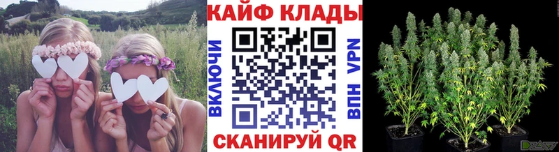 Купить закладку Амфетамин  Меф мяу мяу  ГАШИШ  Alpha-PVP  Конопля  КОКАИН  Алагир