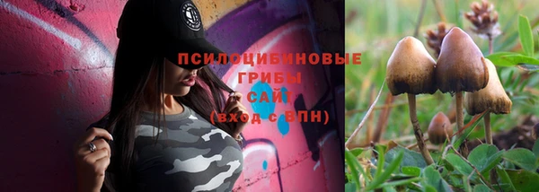 бошки Лабытнанги