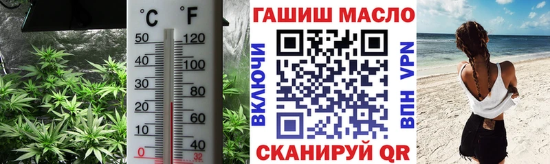 Купить  Алагир  Дистиллят ТГК гашишное масло 