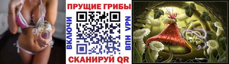 Купить  Алагир  Псилоцибиновые грибы GOLDEN TEACHER 